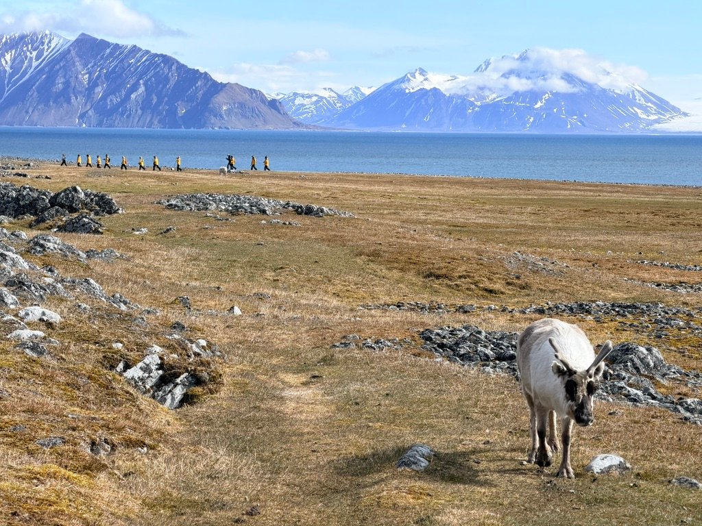 Arctic landscape in Svalbard